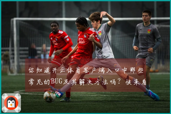你知道开云体育客户端入口中那些常见的BUG及其解决方法吗？快来看看！